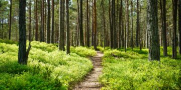 Stay Steady This Summer: Balance and Fall Prevention for Ottawa’s Busiest Season