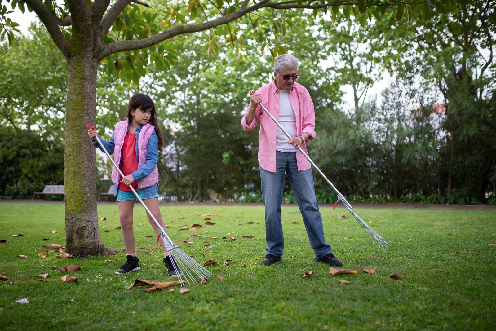A grandfather and granddaughter raking autumn leaves together in a yard